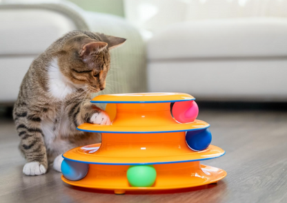 Cat tower fun